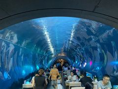 -海棠湾洲际-涛·海底餐厅·美人鱼·自助餐·海底隧道
