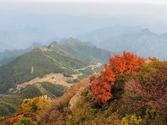 -白草畔自然风景区