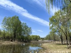 -东郊湿地公园