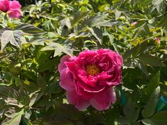 -河南省黄河迎宾馆