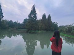 -桤木河湿地公园