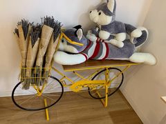 -Husky Go! 哈士奇体验馆·宠物咖啡厅狗咖