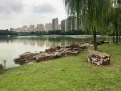 -南翔镇银翔湖公园