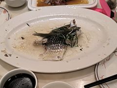 -稻香酒家·35年老字号(侨光店)
