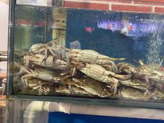 -海帮主·蒸汽海鲜青岛菜(栈桥火车站店)