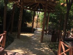 -热带风暴水上乐园(新镇路)