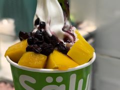 -Salud撒露欧洲冻酸奶(蓝色港湾店)