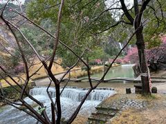 -温州永嘉书院