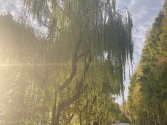 -太阳岛度假酒店