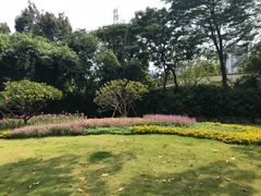 -晓港公园