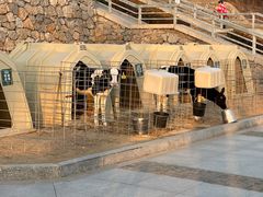 -君乐宝优致牧场