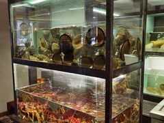 面包甜点陈列柜-甄御•海鲜新青岛菜(麦岛店)