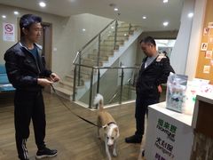 -爱侣·安琦尔宠物医院·中兽医针灸·心内科·狂犬免疫点(宝山区院)
