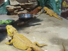 -石家庄市动物园