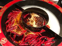 -宽巷子成都火锅(南站店)