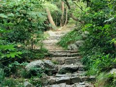-紫金山山顶公园