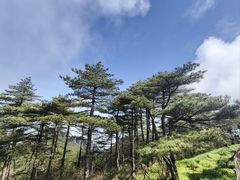 -黄山光明顶山庄