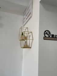 -凡碧诗毛孔收细