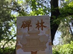 -西安碑林博物馆