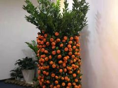 -花诺鲜花(北京路店)