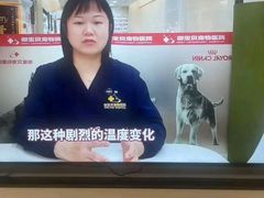 -御宝贝24h宠物医院·转诊中心·CT核磁血透中心(厦门总院)