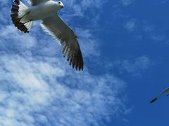 -海驴岛(荣成市)