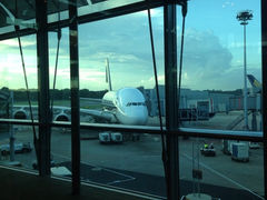iphone_upload_pic-新加坡航空公司(ION)