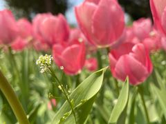 -国家植物园南园