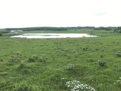 -塞罕坝国家级自然保护区