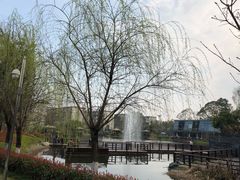 -成飞公园