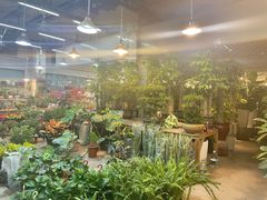 -双季花艺园艺市场(浦东店)