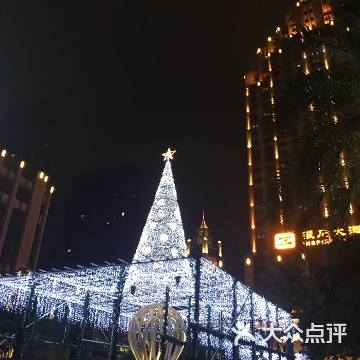 振石大酒店夜景图片