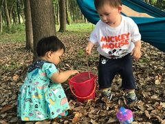 -昆山城市生态森林公园