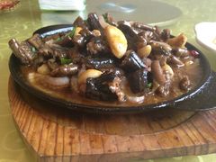 铁板蟮背-天目湖刘老四农庄