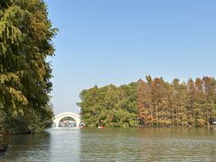 -上海海湾国家森林公园