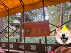 -普陀山风景名胜区-法雨禅寺