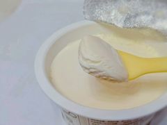 原味手工酸奶-狐狸家·酸奶酪专门店(平江路店)