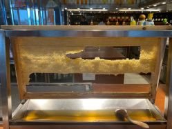 -臻康乃馨月子中心(凯宾斯基店)