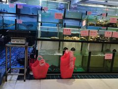 -联邦酒楼