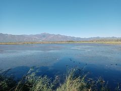 -野鸭湖国家湿地公园