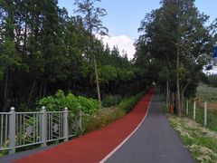 -长兴岛郊野公园农场食堂