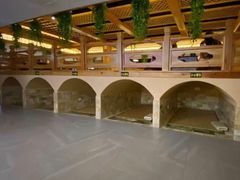 -添赐温泉馆(上南路店)