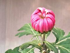 -共青国家森林公园-售票处