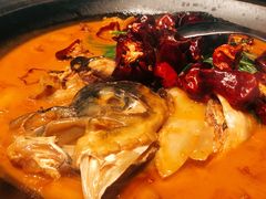 段氏绝味鱼头-柿合缘新京菜(国金中心商场店)