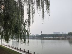 -沙澧河风景区
