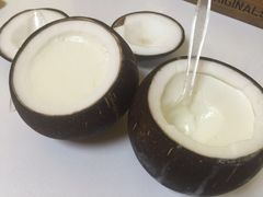 -志龙皇冠吃货椰子铺