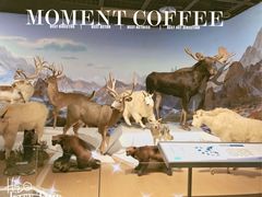 -陕西自然博物馆