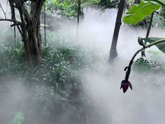 -厦门园林博览苑