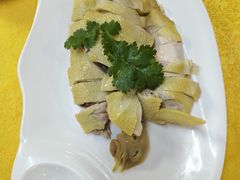 -鸽王世家(东华东路店)