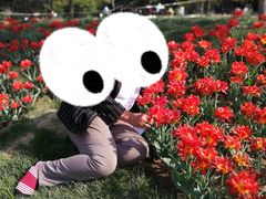 -长春公园(普阳街道)